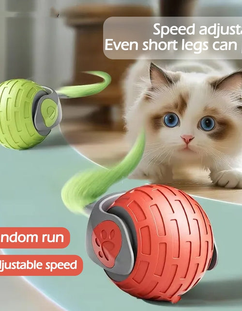 Cargar imagen en el visor de la galería, New Interactive Rechargeable Cat Toy
