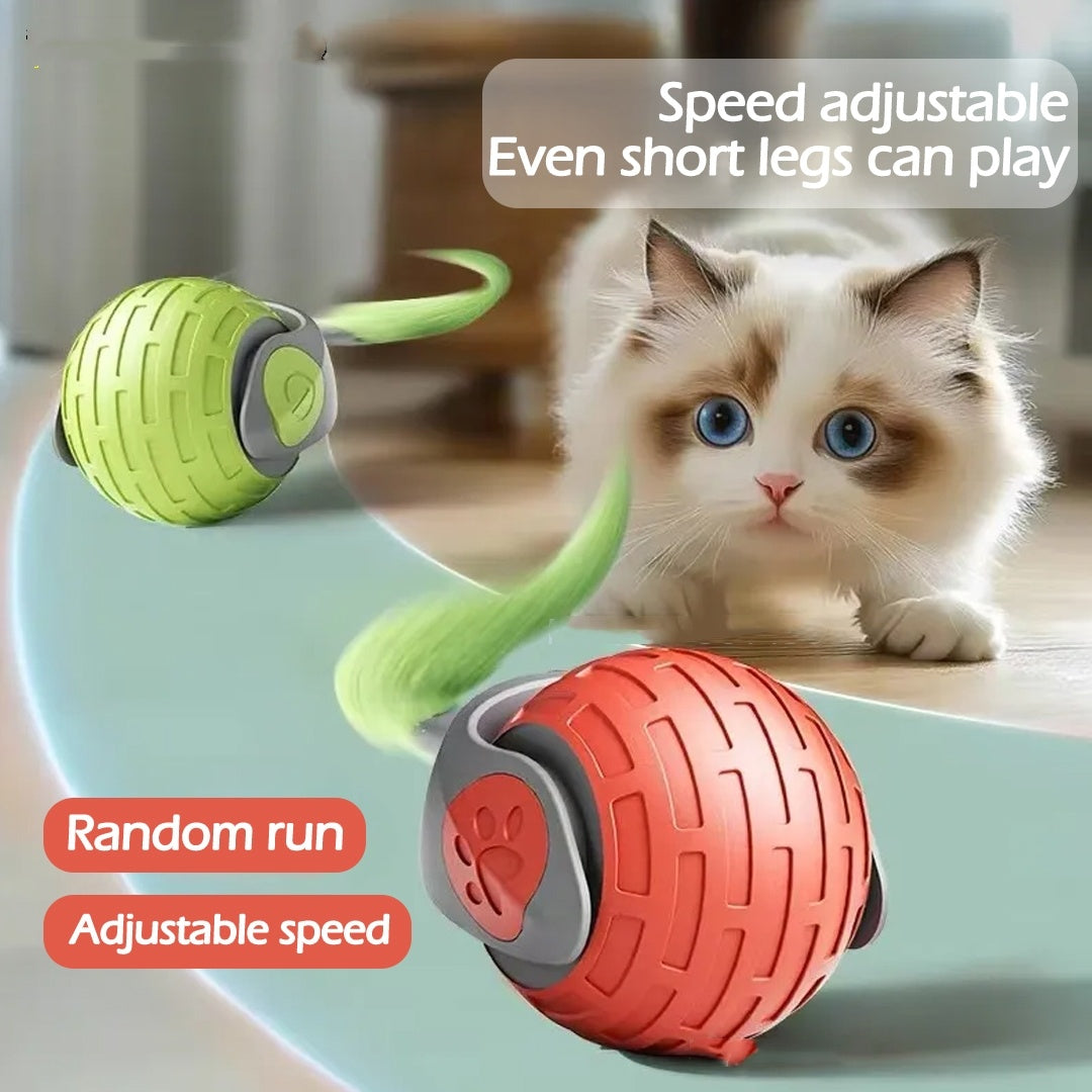 New Interactive Rechargeable Cat Toy