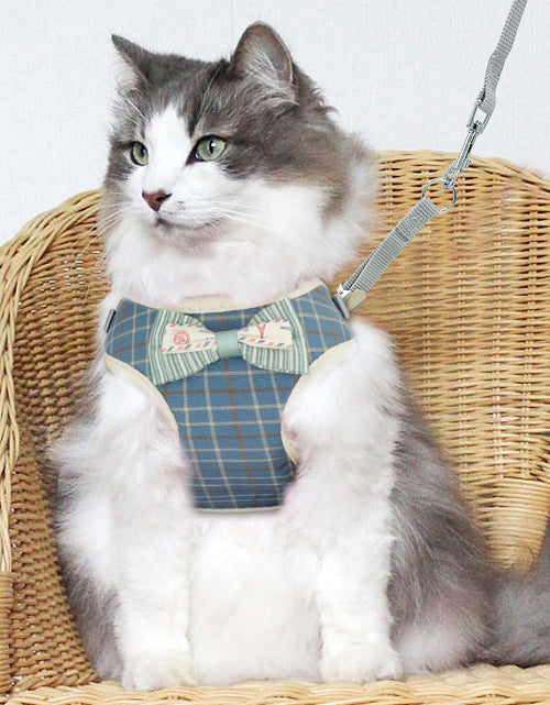 Load image into Gallery viewer, Vest type catrope
