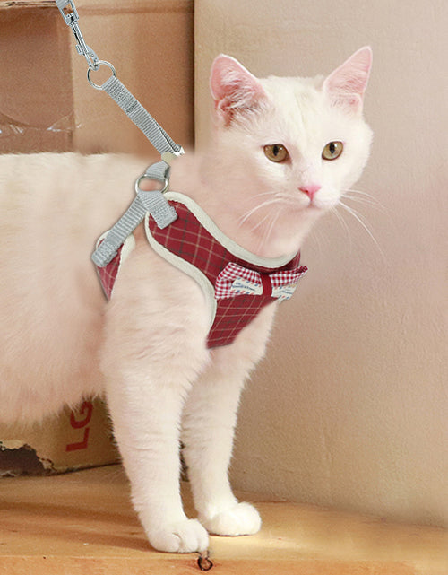 Load image into Gallery viewer, Vest type catrope
