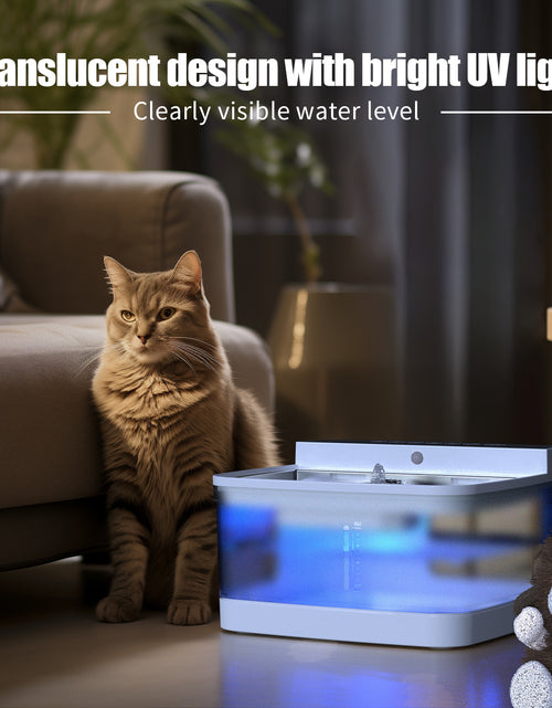 Bild in Galerie-Viewer laden, Wasserspender für Haustiere 
