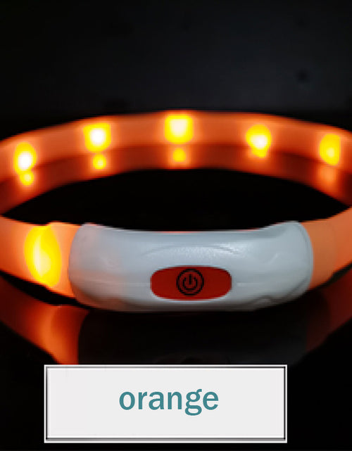 Cargar imagen en el visor de la galería, Collar luminoso para mascotas para todas las estaciones
