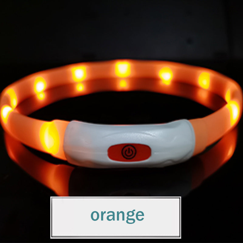 Collar luminoso para mascotas para todas las estaciones