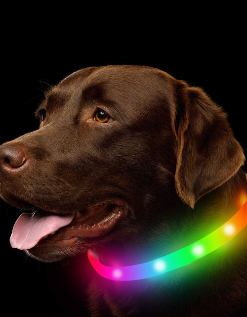Cargar imagen en el visor de la galería, Collar luminoso para mascotas para todas las estaciones
