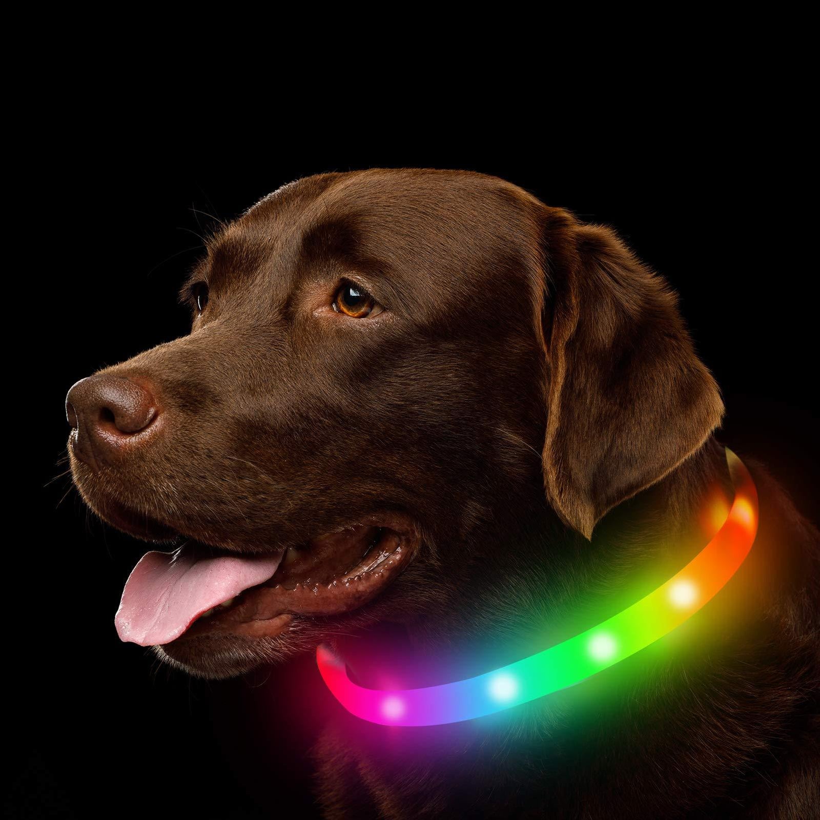 Collar luminoso para mascotas para todas las estaciones