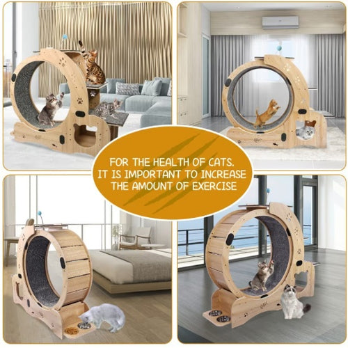 Bild in Galerie-Viewer laden, Katzenlaufrad mit Flüsterrad
