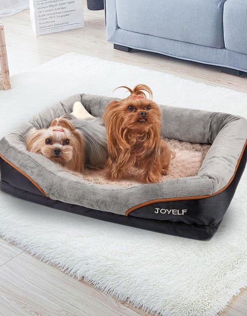 Cargar imagen en el visor de la galería, Large Memory Foam Dog Bed, Orthopedic Dog Bed &amp; Sofa with Removable Washable Cover and Squeaker Toy as Gift
