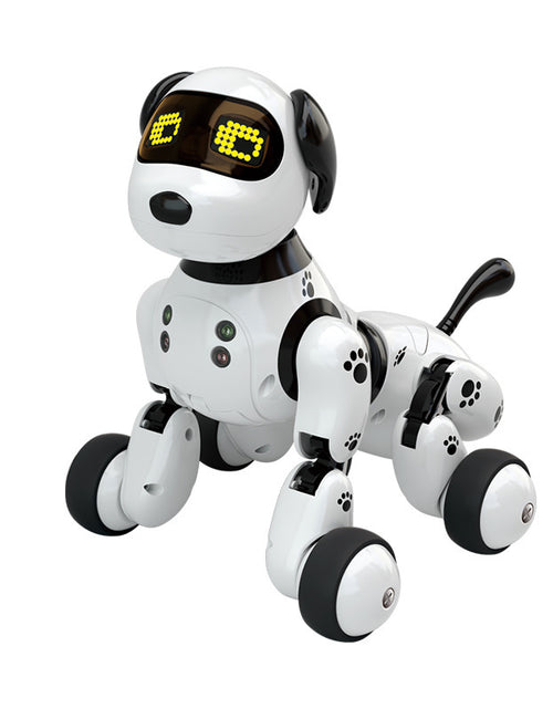 Bild in Galerie-Viewer laden, Elektronisches Hundespielzeug
