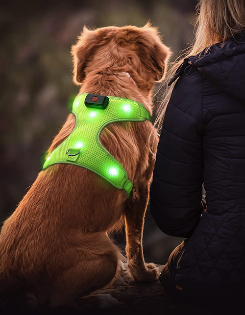 Cargar imagen en el visor de la galería, LED Dog Harness, Lighted up USB Rechargeable Pet Harness, Illuminated Reflective Glowing Dog Vest Adjustable Soft Padded No-Pull Suit for Small, Medium, Large Dogs (Green, S)
