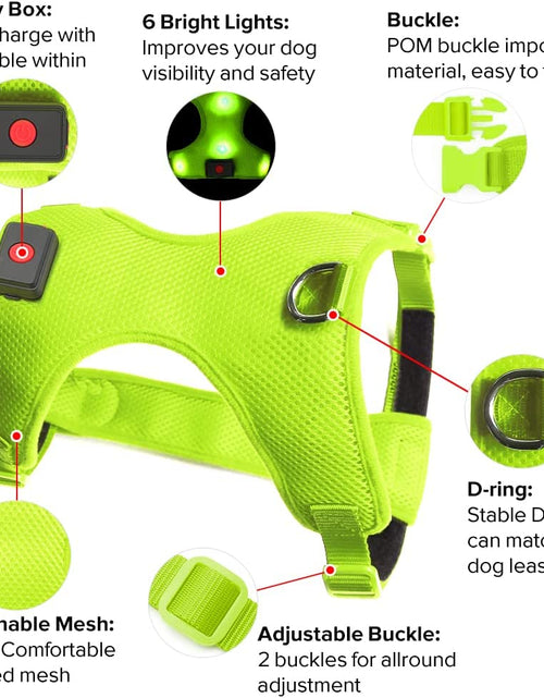 Cargar imagen en el visor de la galería, LED Dog Harness, Lighted up USB Rechargeable Pet Harness, Illuminated Reflective Glowing Dog Vest Adjustable Soft Padded No-Pull Suit for Small, Medium, Large Dogs (Green, S)
