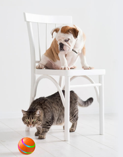 Load image into Gallery viewer, Pet New Cat Wicked Ball Toy Intelligent Ball USB Cat Toys Self Rotating Ball Automatic Rotation Ball
