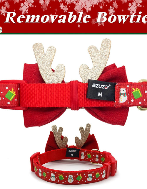Cargar imagen en el visor de la galería, Dog Collar with Removable Bowtie Dog Collars Adjustable Dog Collar for Small Medium Large Dogs
