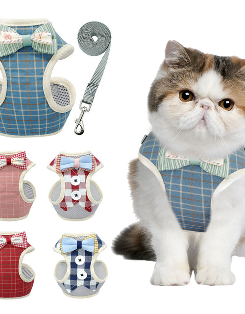 Load image into Gallery viewer, Vest type catrope

