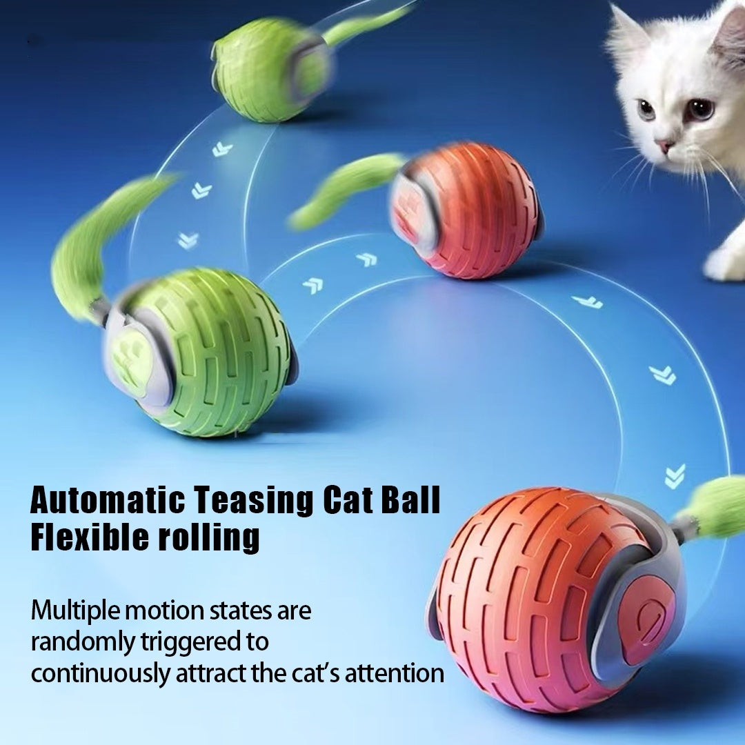 New Interactive Rechargeable Cat Toy