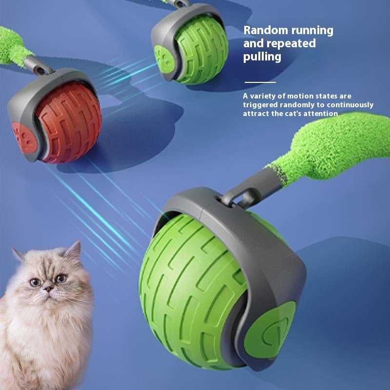 New Interactive Rechargeable Cat Toy