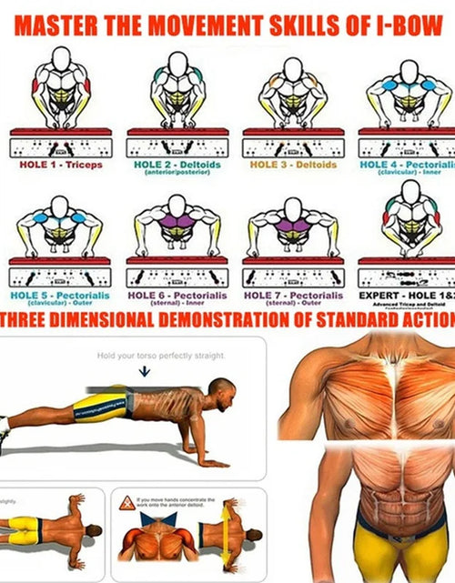 Cargar imagen en el visor de la galería, Portable Multifunctional Push-Up Board Set with Handles Foldable Fitness Equipment for Chest Abdomen Arms and Back Training
