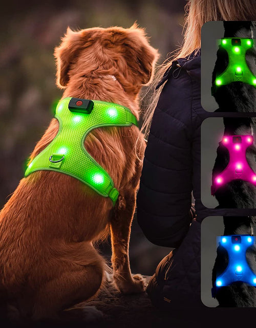 Cargar imagen en el visor de la galería, LED Dog Harness, Lighted up USB Rechargeable Pet Harness, Illuminated Reflective Glowing Dog Vest Adjustable Soft Padded No-Pull Suit for Small, Medium, Large Dogs (Green, S)
