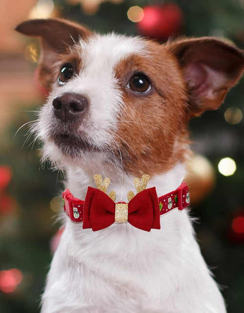 Cargar imagen en el visor de la galería, Dog Collar with Removable Bowtie Dog Collars Adjustable Dog Collar for Small Medium Large Dogs

