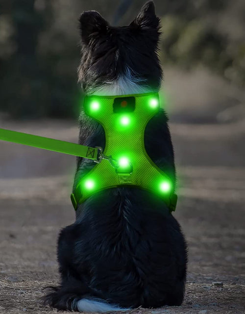 Cargar imagen en el visor de la galería, LED Dog Harness, Lighted up USB Rechargeable Pet Harness, Illuminated Reflective Glowing Dog Vest Adjustable Soft Padded No-Pull Suit for Small, Medium, Large Dogs (Green, S)
