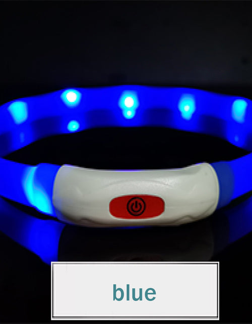 Cargar imagen en el visor de la galería, Collar luminoso para mascotas para todas las estaciones
