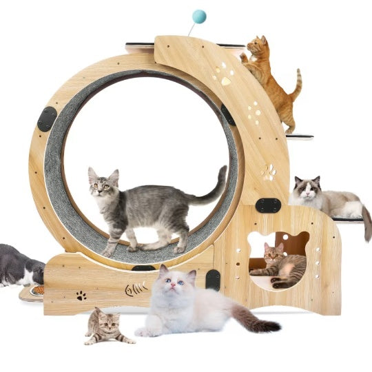 Katzenlaufrad mit Flüsterrad